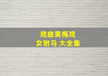 戏曲黄梅戏 女驸马 大全集